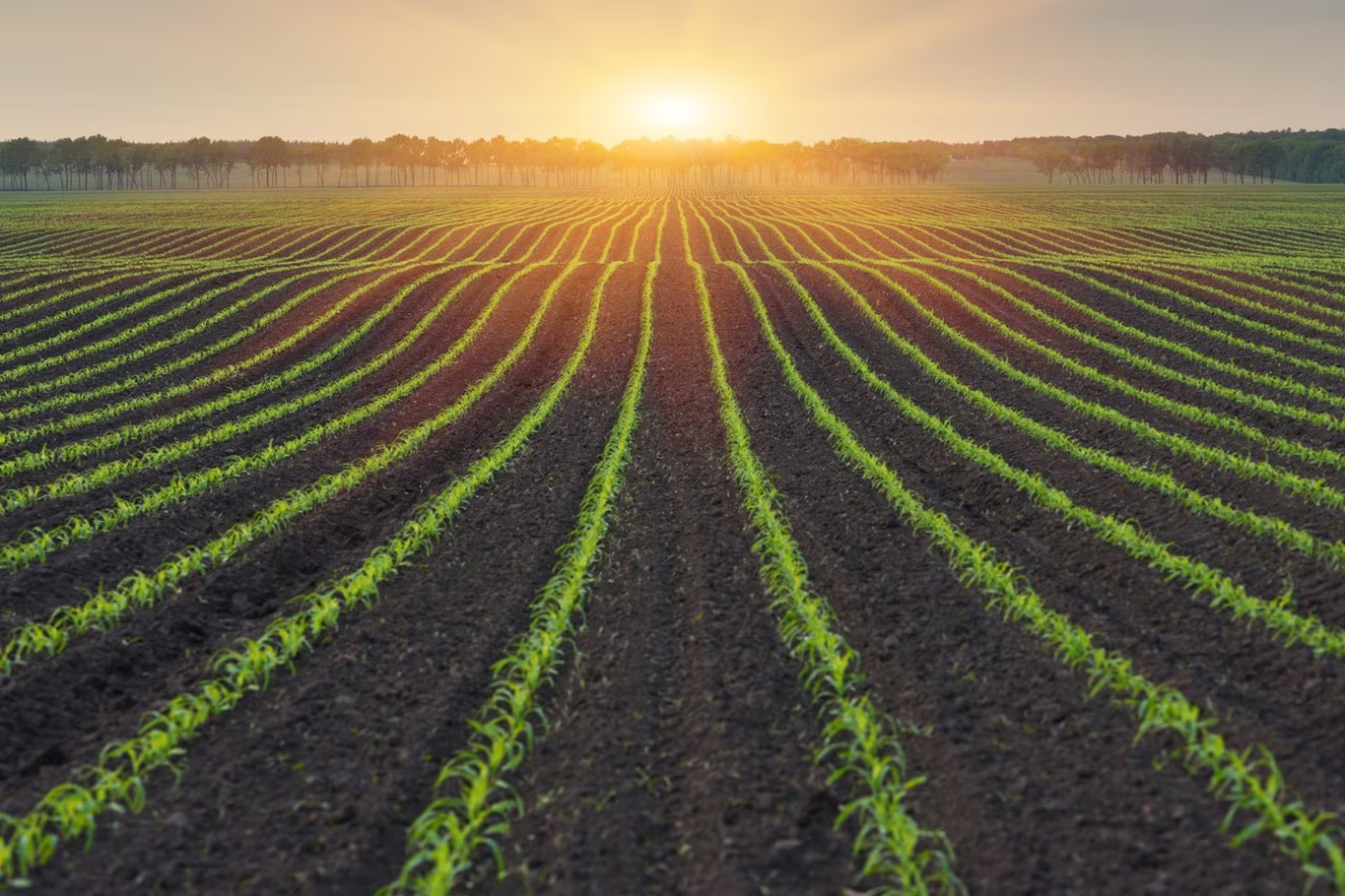 March 19 is National Agriculture Day