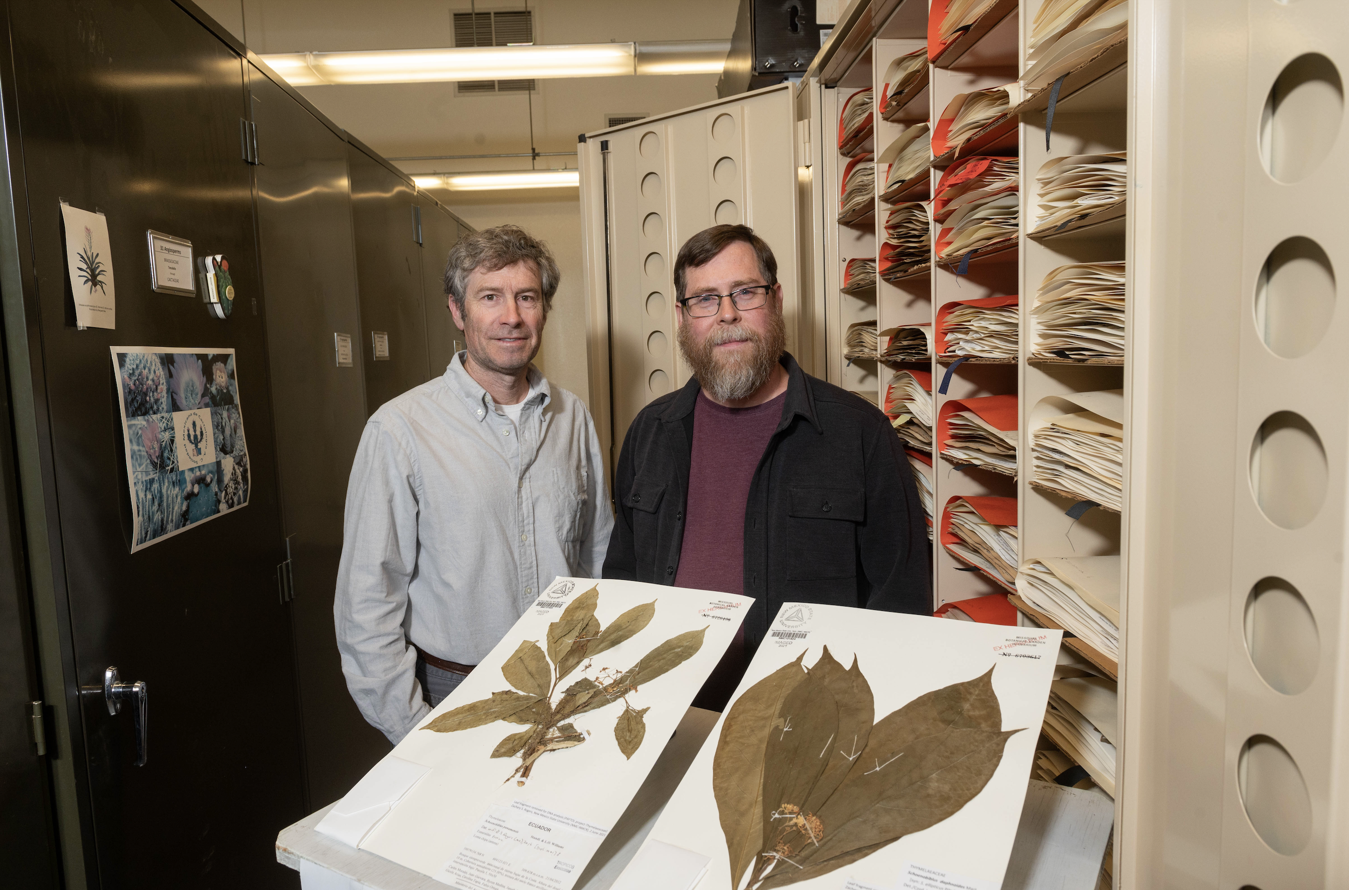 NMSU researchers contribute to understanding flowering plant ‘tree of life’