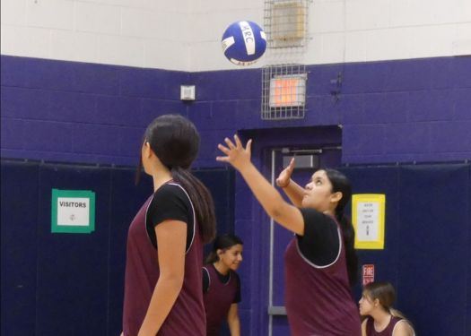 Youth Volleyball League Registration in Las Cruces