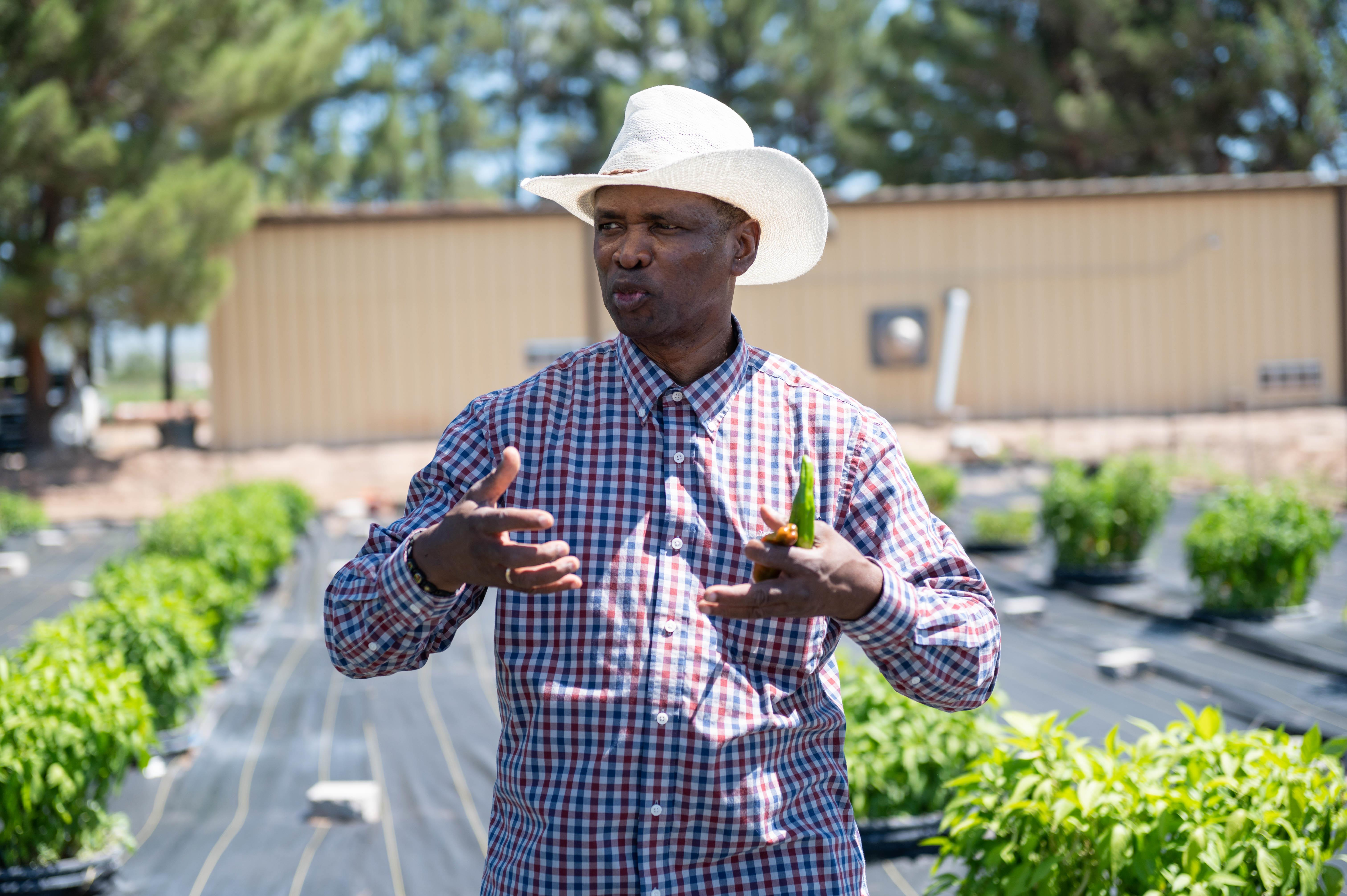 NMSU agricultural field days kick off at Leyendecker research center May 22