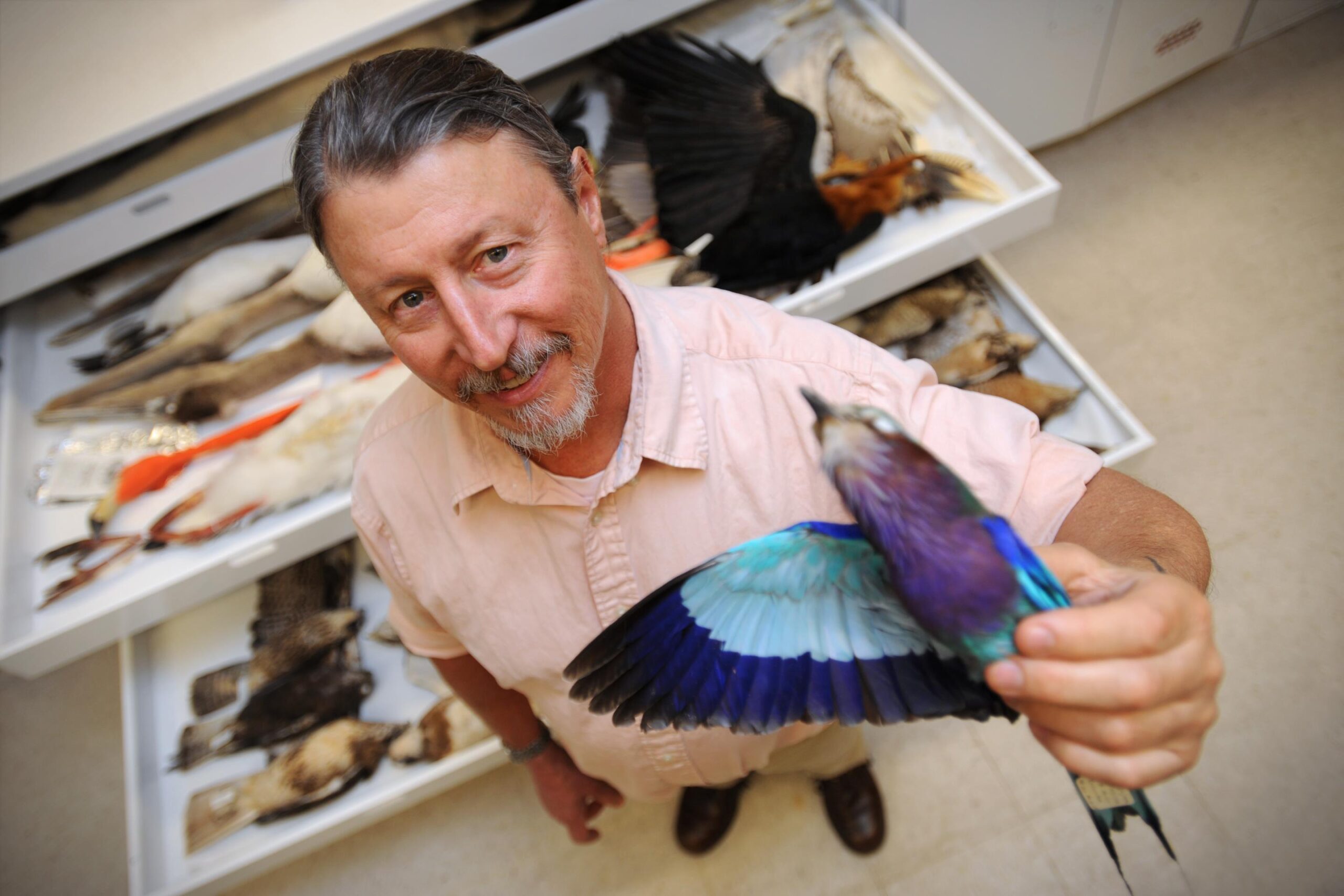 Phase 2 of NMSU professor’s bird genome research reveals new methods