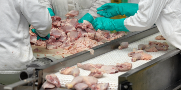 DEPARTMENT OF LABOR FINDS CHILDREN EMPLOYED ILLEGALLY IN DANGEROUS JOBS, OBTAINS $4.8M IN WAGES, DAMAGES FOR POULTRY INDUSTRY WORKERS IN CALIFORNIA