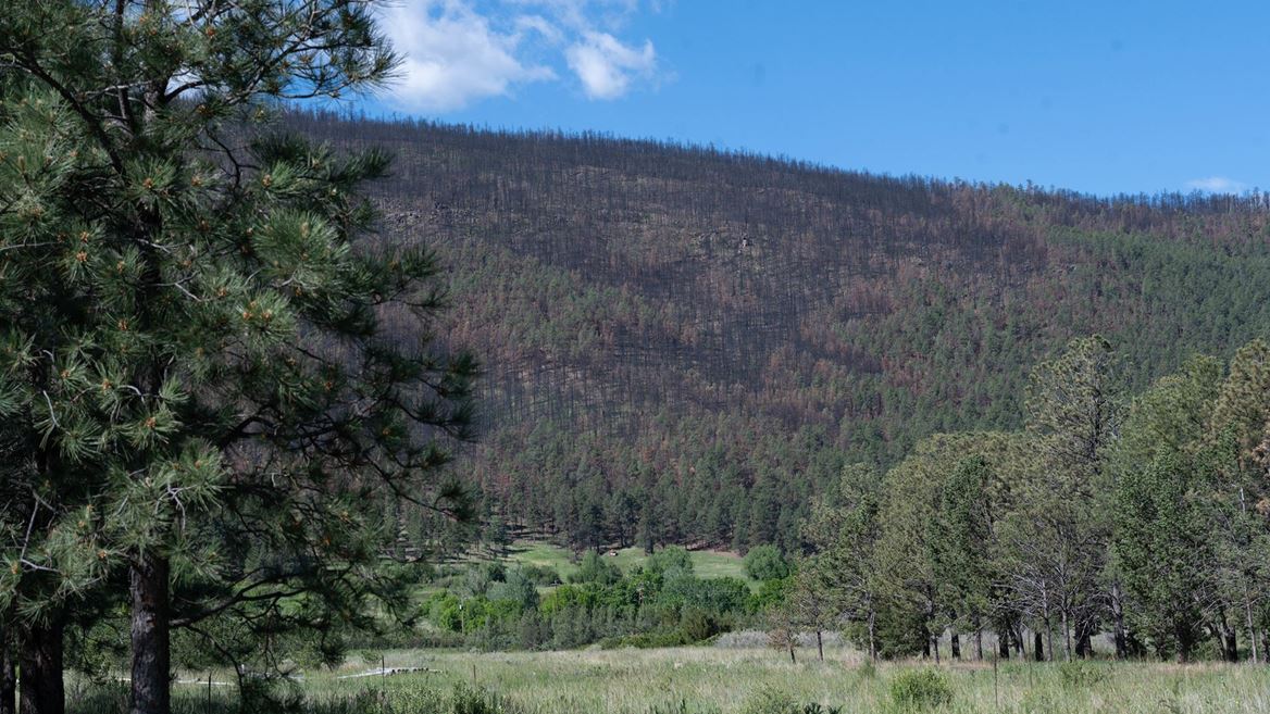 NMSU Extension, FEMA to host agricultural resilience event July 18 in Mora County–ZOOM Attendance Available