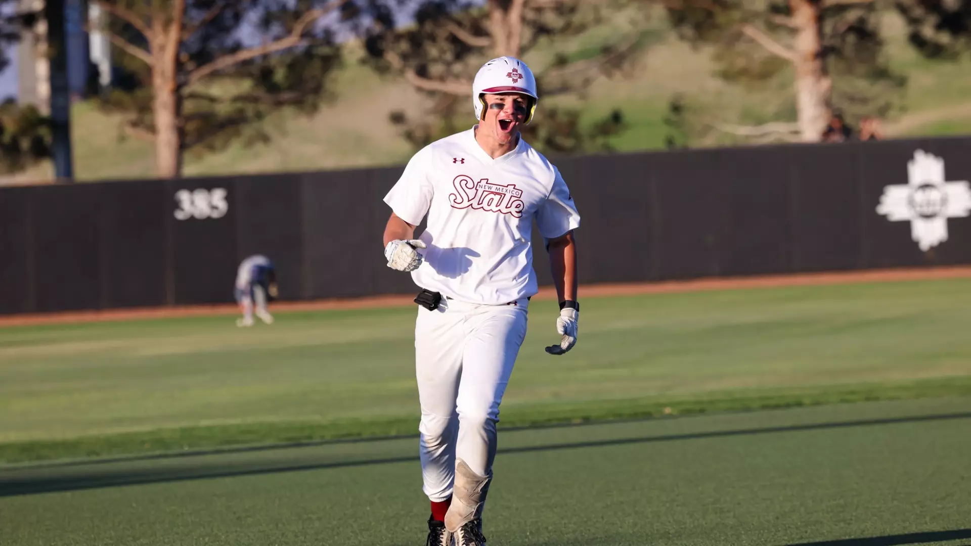 NMSU Baseball