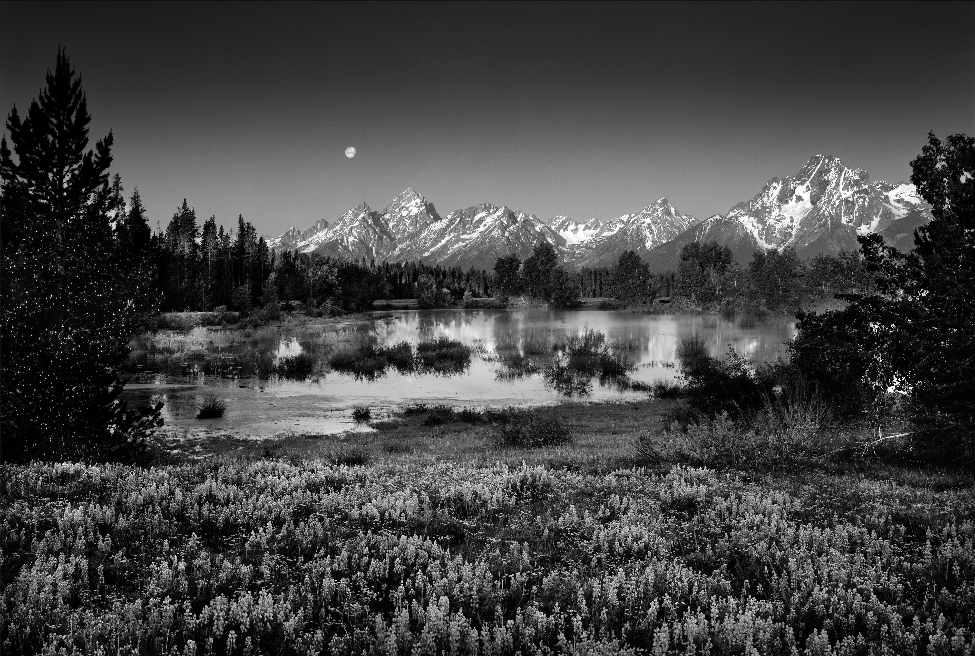 Clyde Butcher Photography Exhibit Opens at Museum of Art