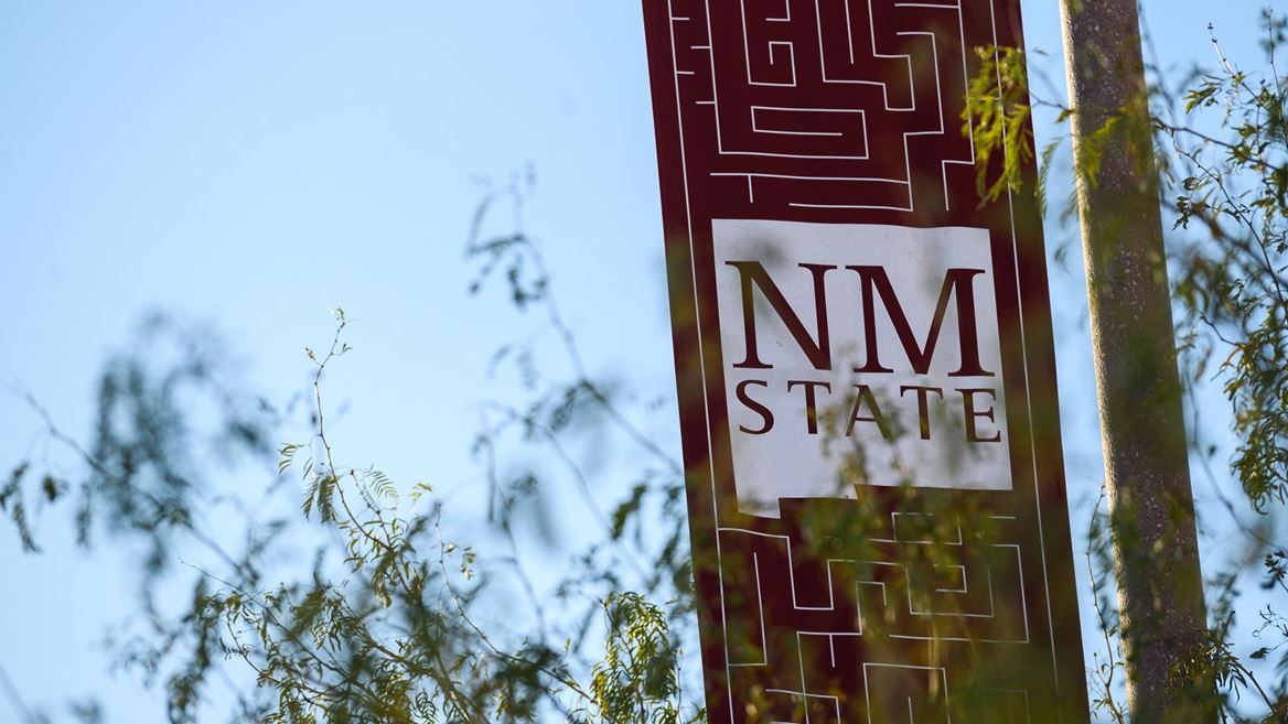 NMSU Banner