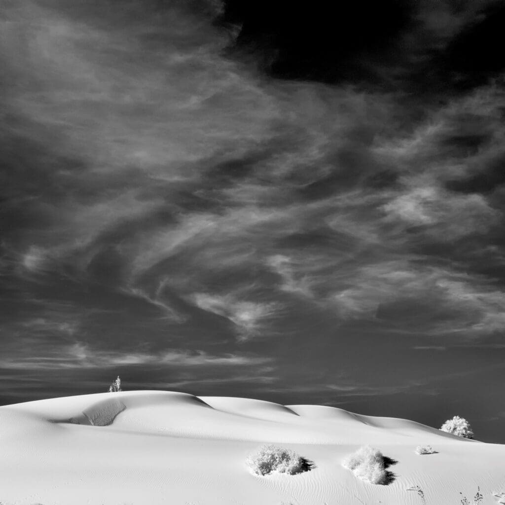 “Dunes & Dreams” Exhibit Opens at Branigan Cultural Center Opens September 6