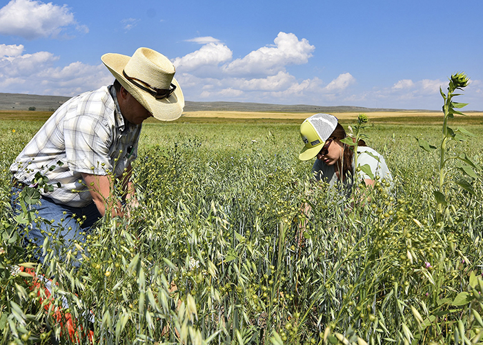 Climate Smart Farming