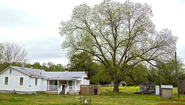 A 21st Century Solution to Saving the Family Farm