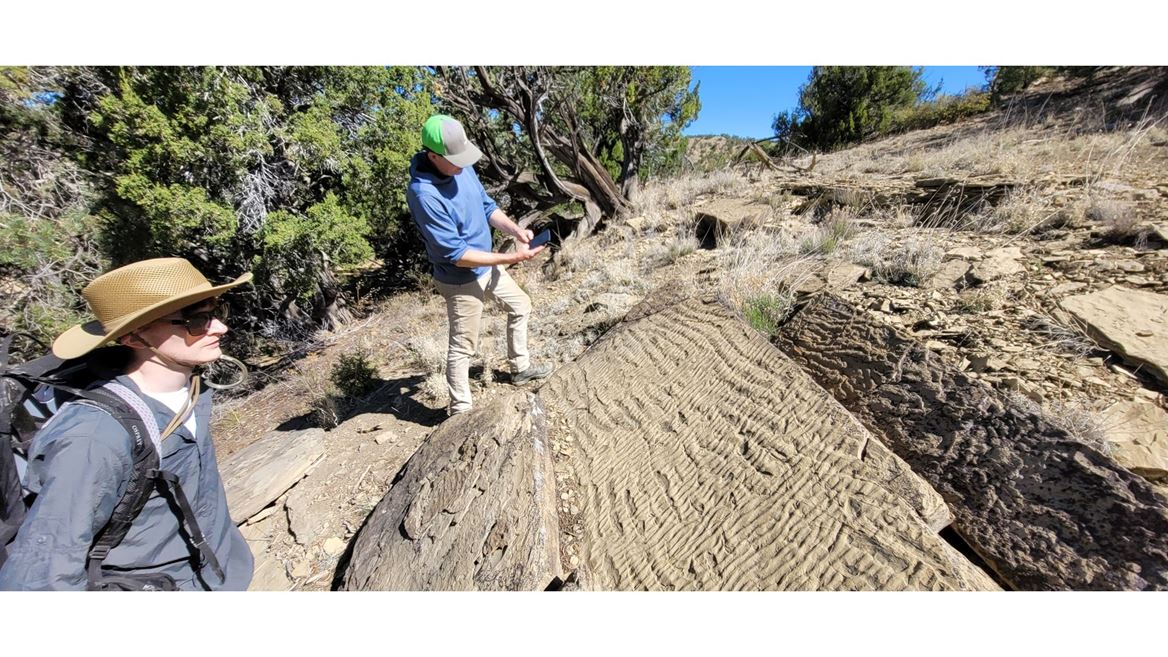 NMSU geology partnership gives students access to Reynolds Field Station