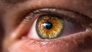 Recent Developments in Dietary Supplement Science–Macular Degeneration