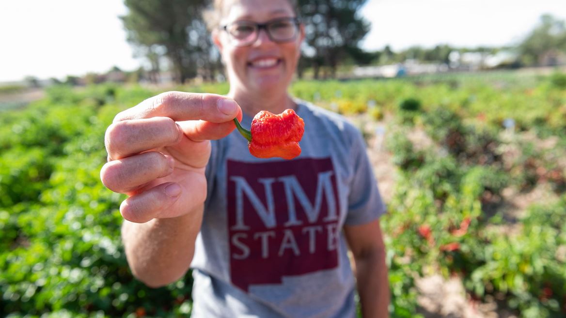 NMSU Fabián García Science Center field day to feature research, new CPI location–October 9