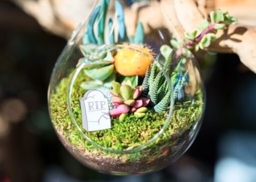 PUmpkin in a Jar