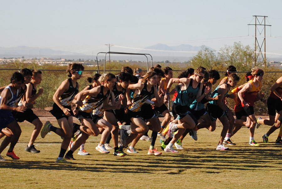 Organ Mountain Boys and Mayfield Girls take home District 3/5A Banners