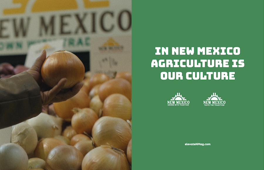 New Mexico Department of Agriculture presents 2024 edition of New Mexico Taste the Tradition Holiday Lookbook