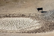 Five Facts About the United States Drought Monitor