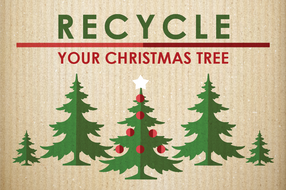 County Offers Christmas Tree Recycling Early on January 4th