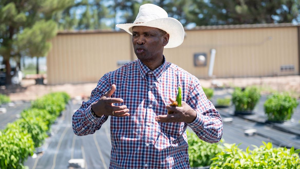 NMSU researcher to lead workshop on plant pathogen February 3