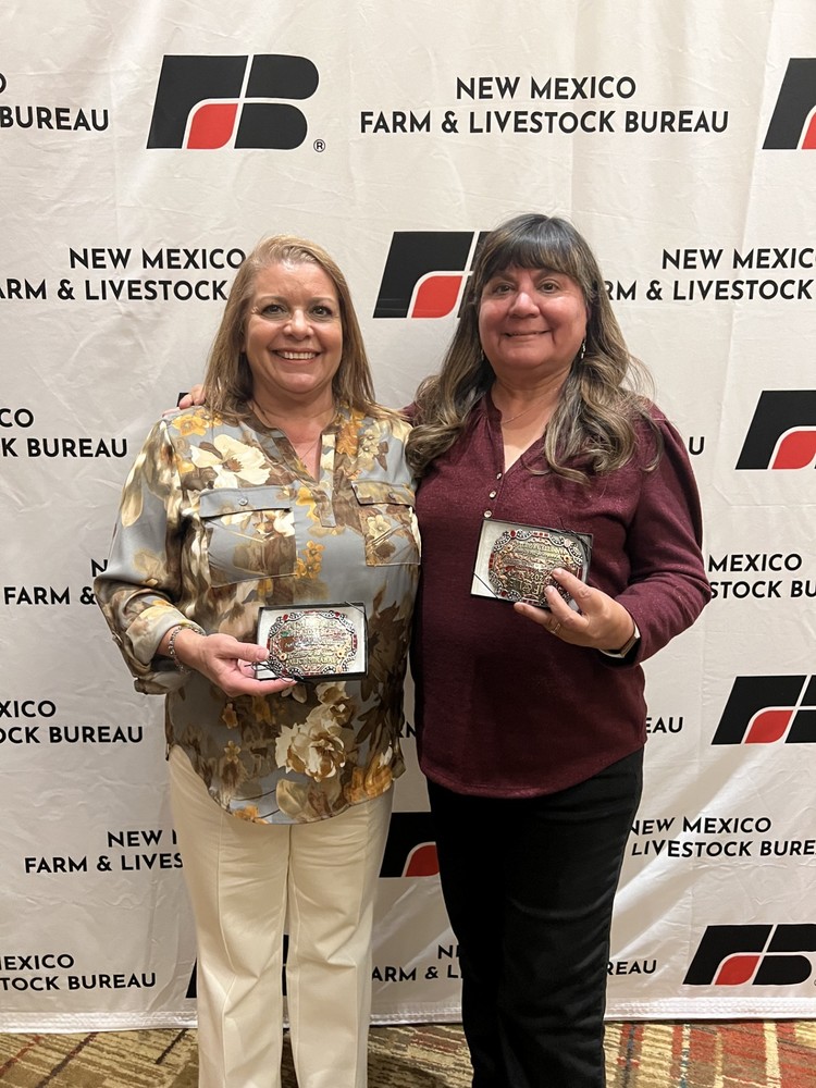 It’s a Whole New Rodeo! Doña Ana Elementary Teachers Receive Statewide Honor