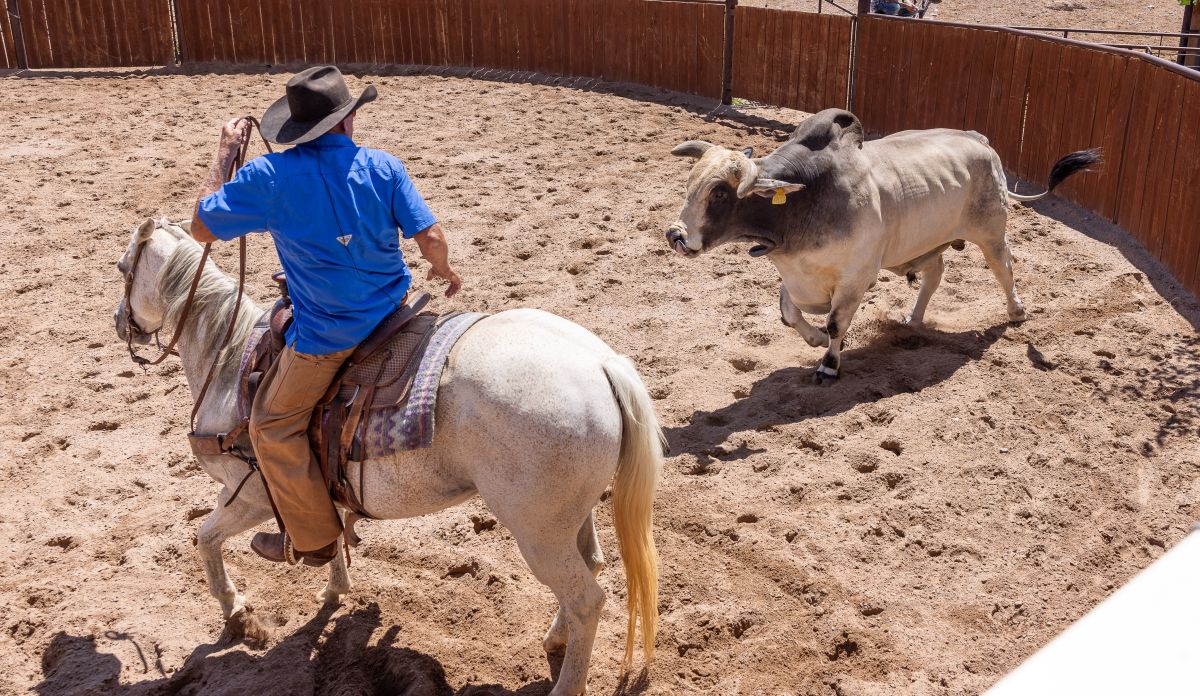 TiraHowardPhotography_Farm+Ranch_GI9A1659_PR