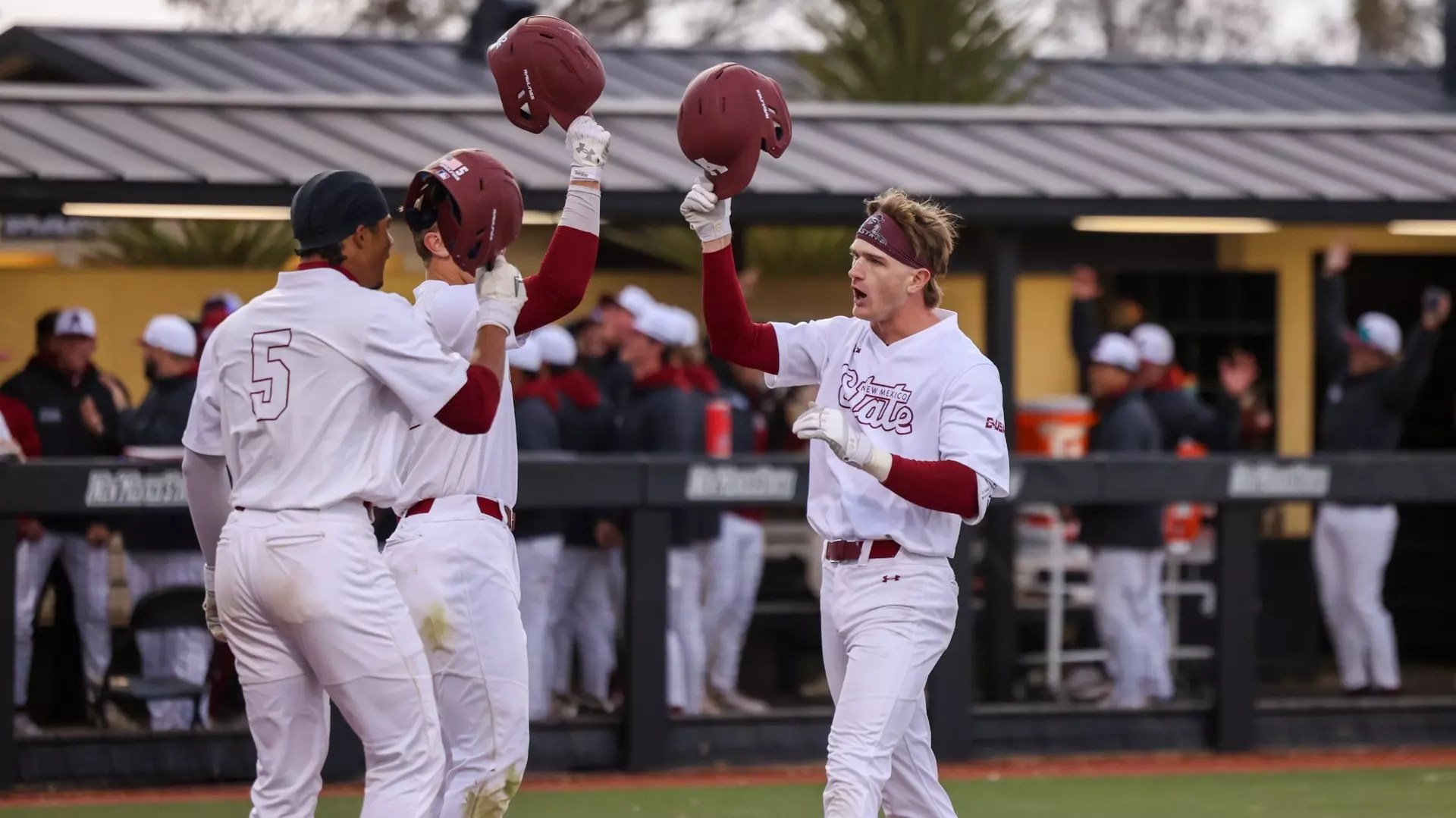 NMSU Baseball