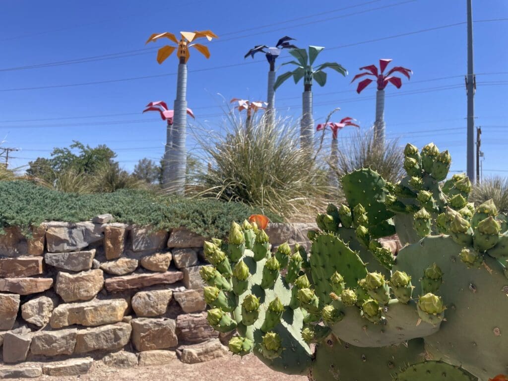 Thoughts: El Paseo & S. Solano MRA Feedback