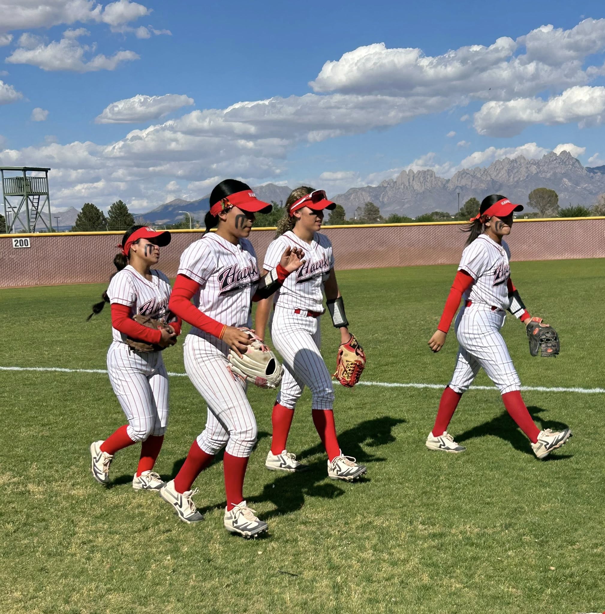 Centennial Hawks