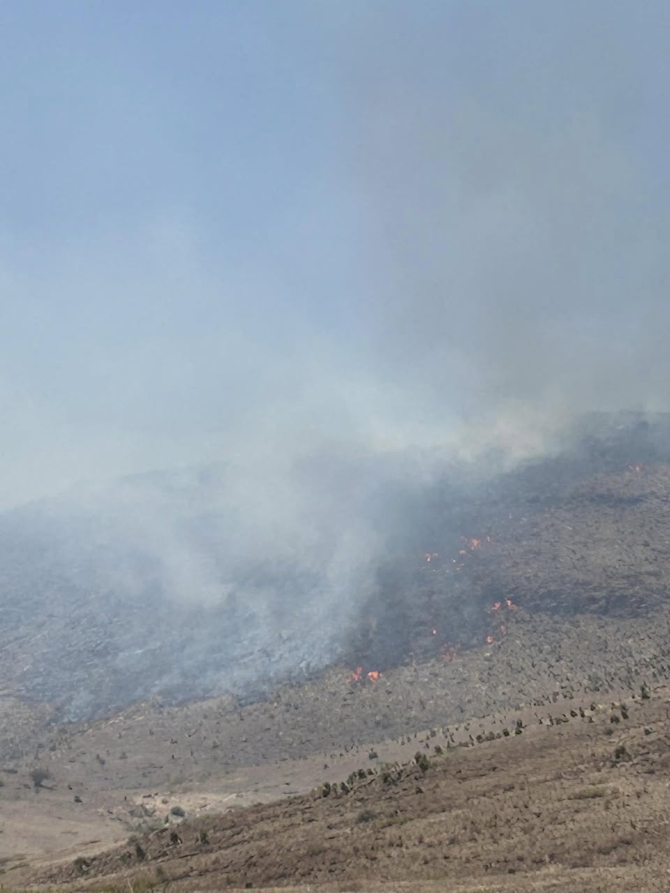 Update 5/22: Pine Peaks Wildfire in Organ Mountains-Desert Peaks National Monument 50% Contained