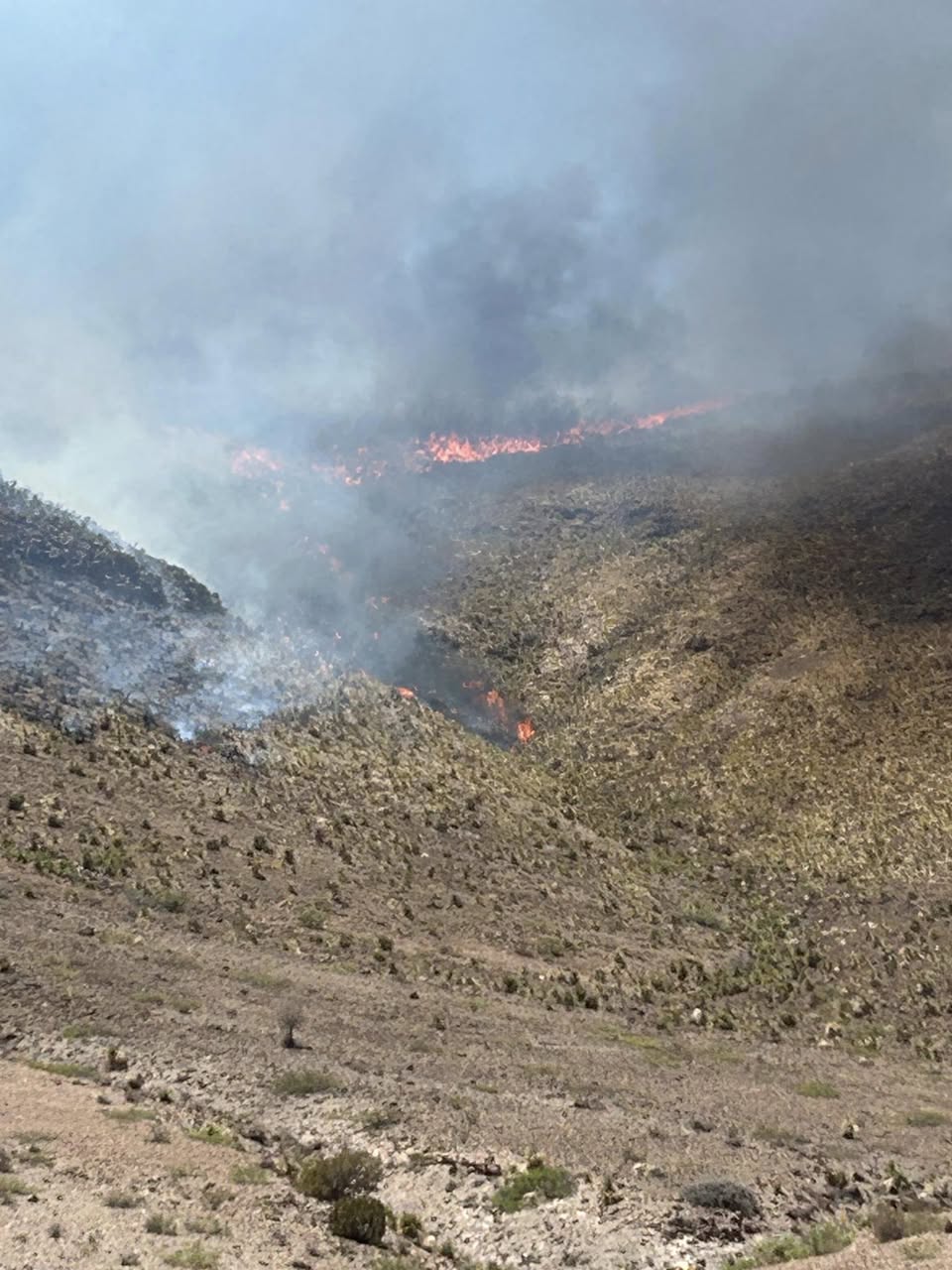 Updated 5/19: Pine Peaks Wildfire in Organ Mountains-Desert Peaks National Monument
