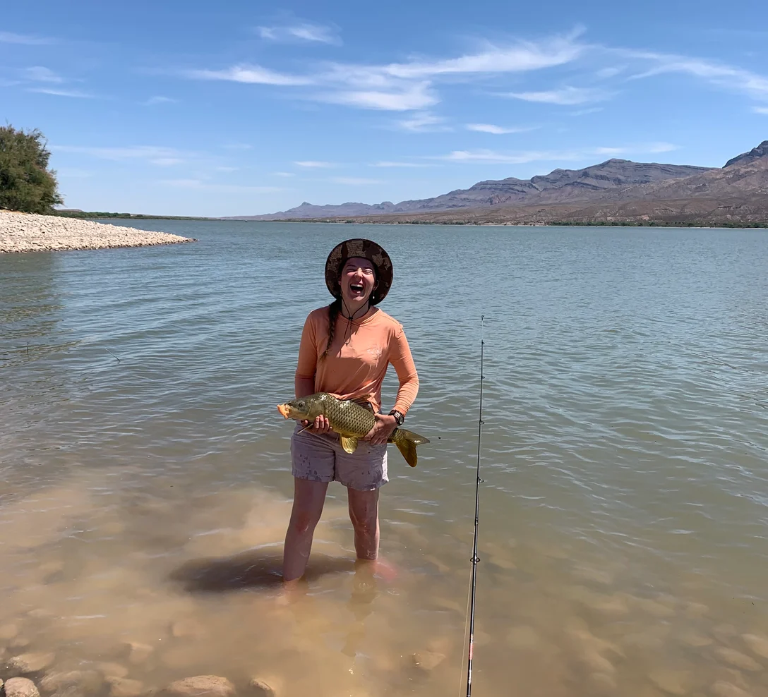 What’s Biting: Fishing Report and How to Tell the Difference Between White Bass, Striper and Wiper