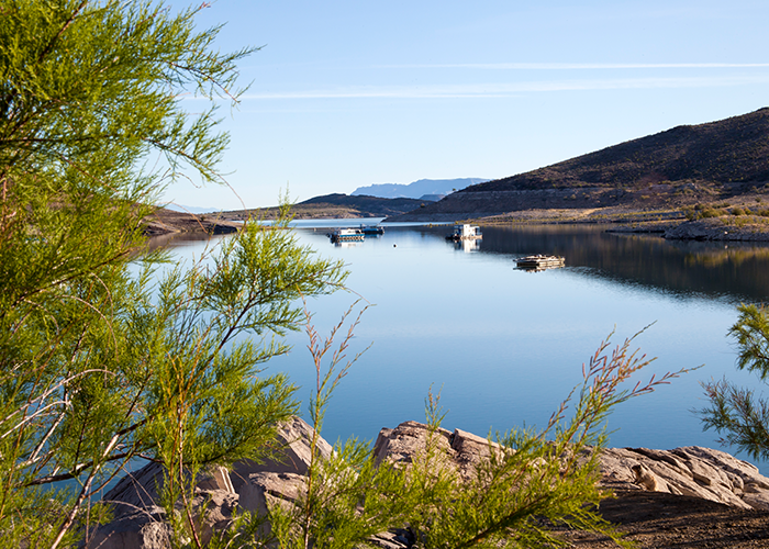 The Line: Anglers report great fishing conditions at Elephant Butte