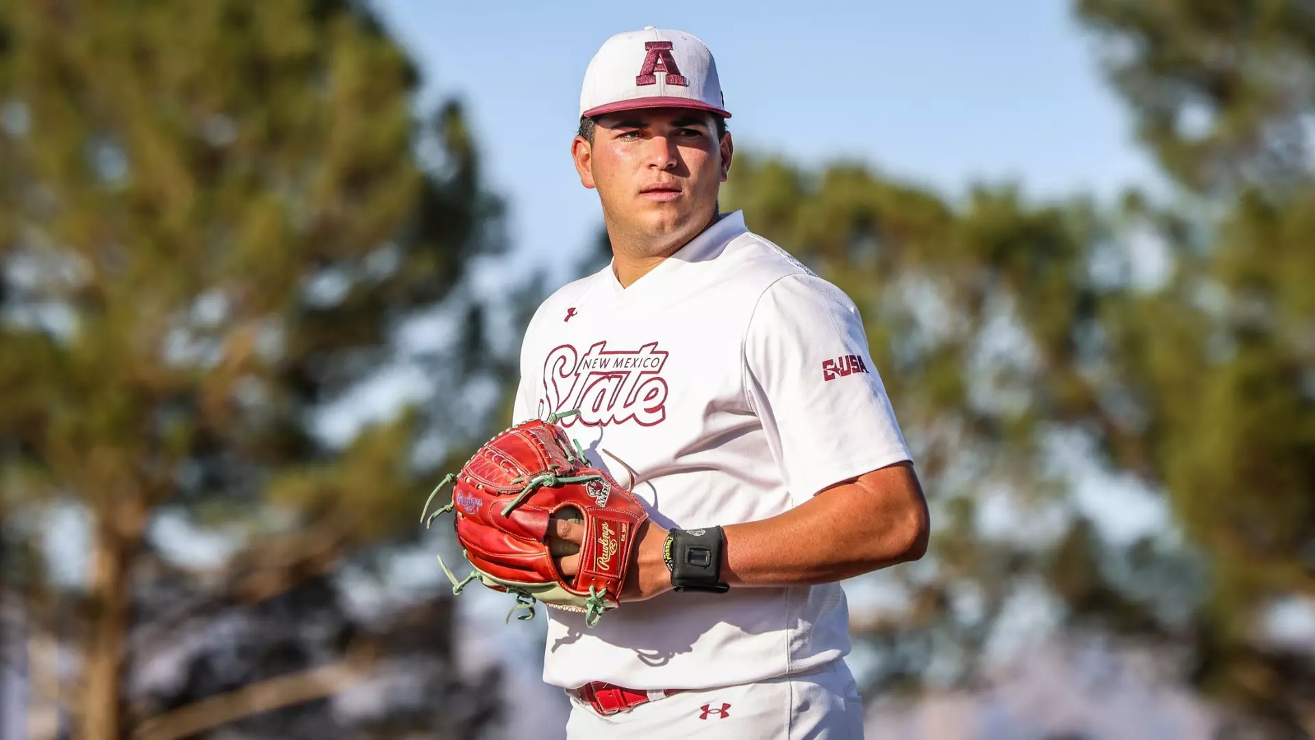 NMSU Baseball