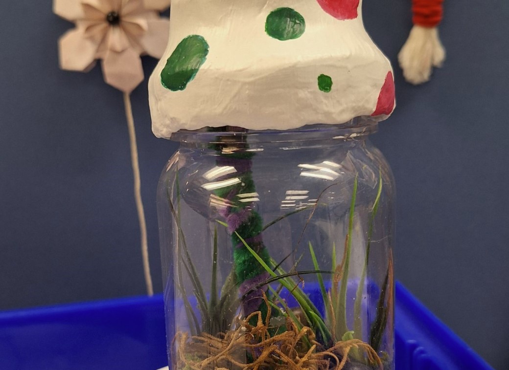 Mushroom Project