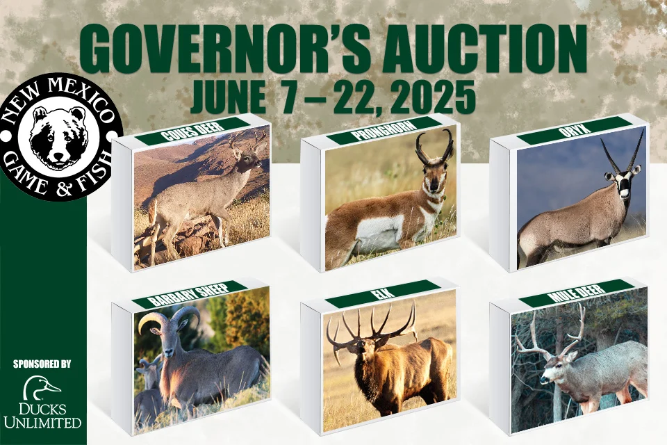 2025_GovernorsAuctionb_960x640