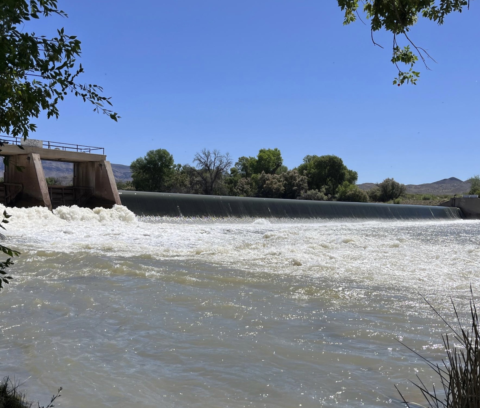 Flowing Waters: With the gates open at Elephant Butte, let’s revisit some basics about irrigation ditches