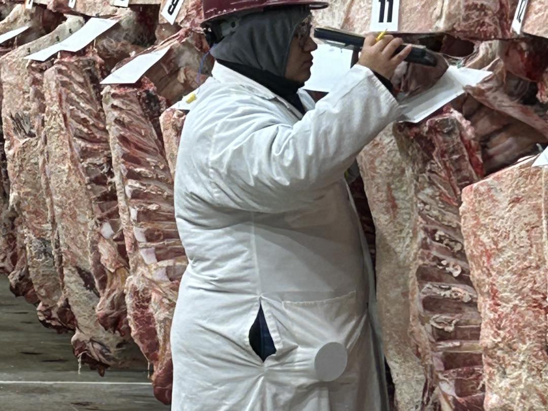 Trimness, Muscling and Quality: NMSU Students Compete in Two Meat Judging Competitions; Nationals Up Next