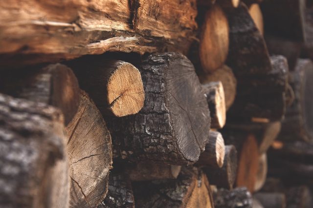 Keep firewood local: Help stop the spread of invasive pests