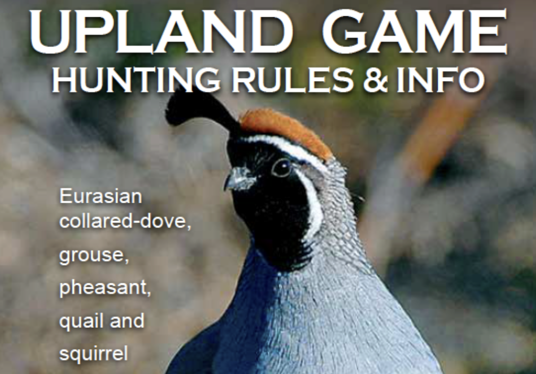 Hunting Camp: NM Game and Fish Offers Quail Hunting Camp in Deming November 21-23