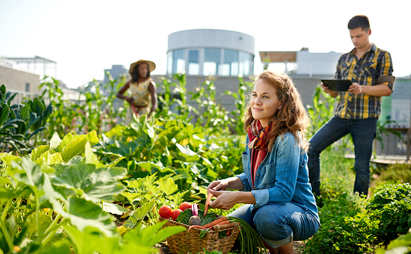 Fujitsu Global Environment
