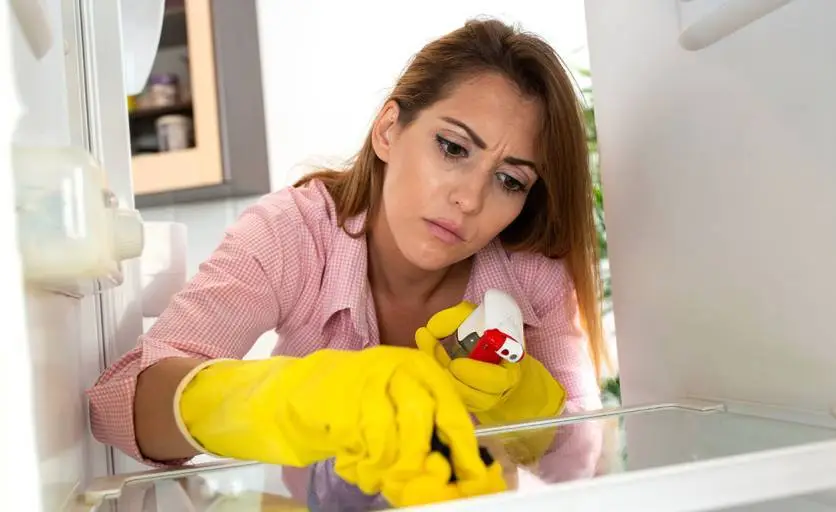 Food Safety: Removing Odors from Refrigerators and Freezers