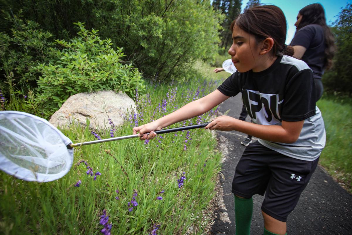 Institute for Applied Ecology's is using an OEF grant to offer no-cost training and professional development in conservation and native plant ecology to Pueblo youth.