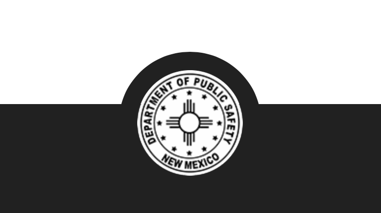 Department of Public Safety