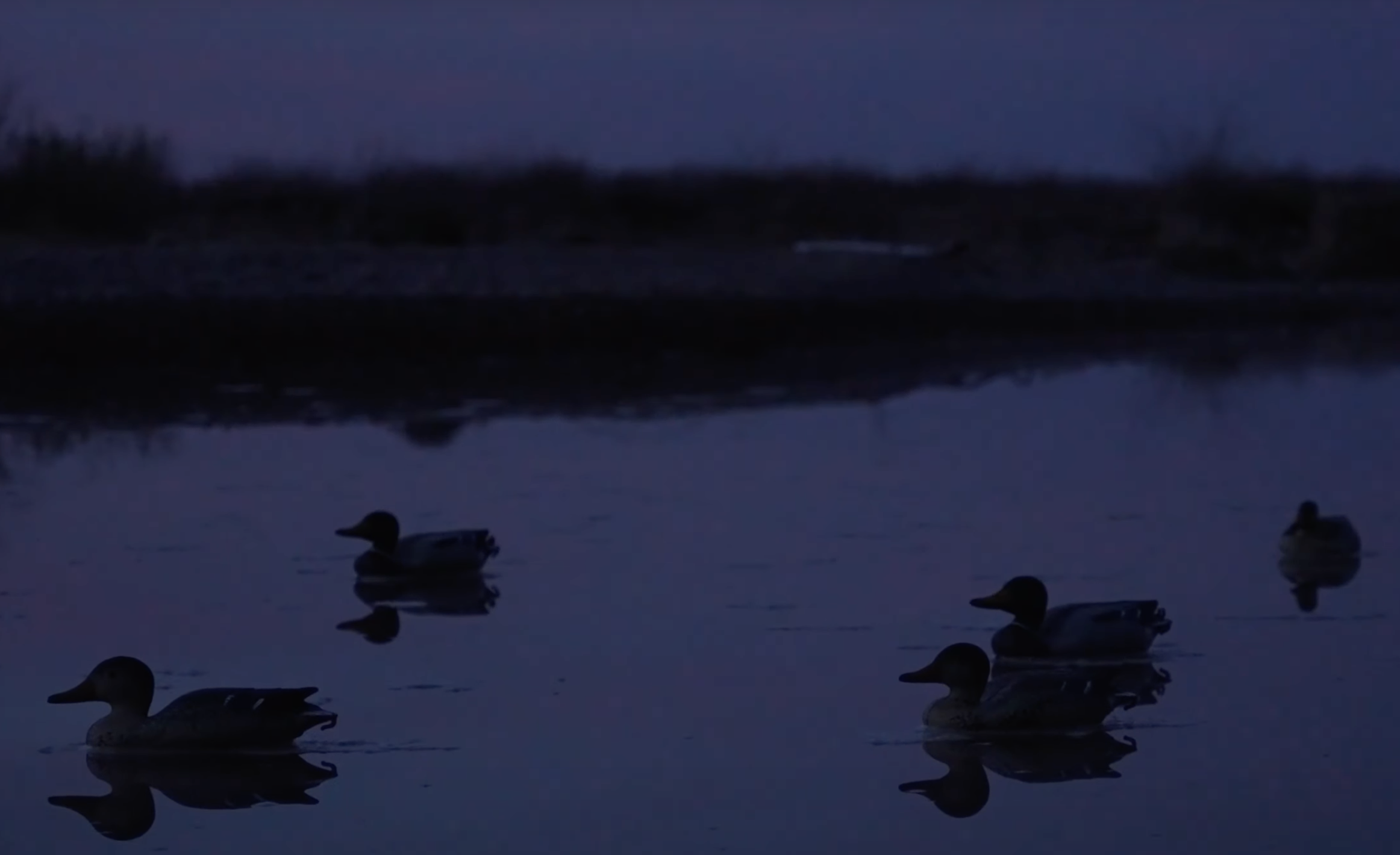 Women’s Duck Hunting Camp