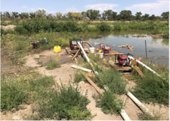 San Juan River: Illegal Marijuana Operation Leads to Clean Water Act Violations