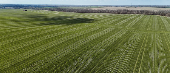 Ask the Expert: A Q&A on USDA Beginning Farmers with Sarah Campbell