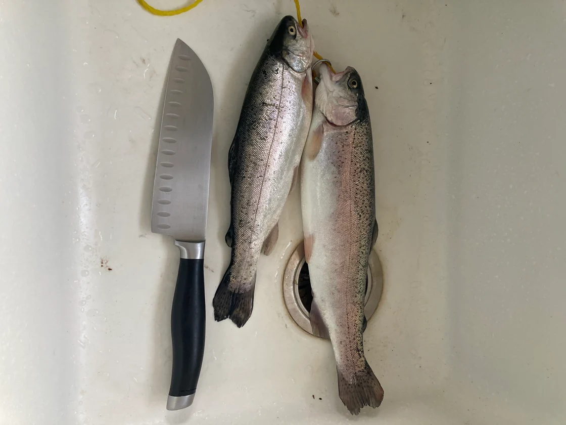 Fishing Report: Ice Fishing Safety Tips