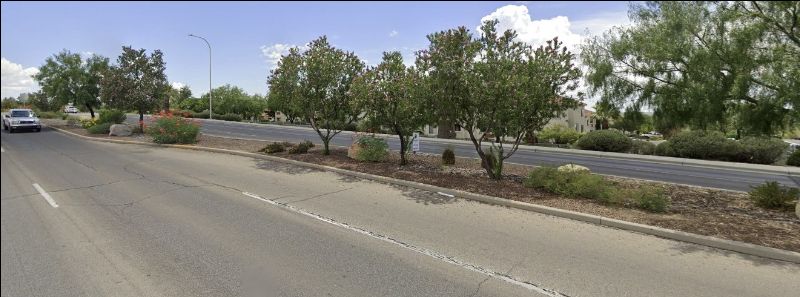 Middle Ground: Roadrunner Parkway Median Landscape Project