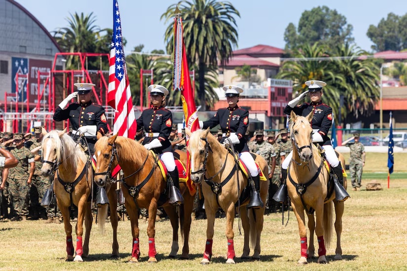 Riding High: Meet the Military’s Last Remaining Mounted Color Guard