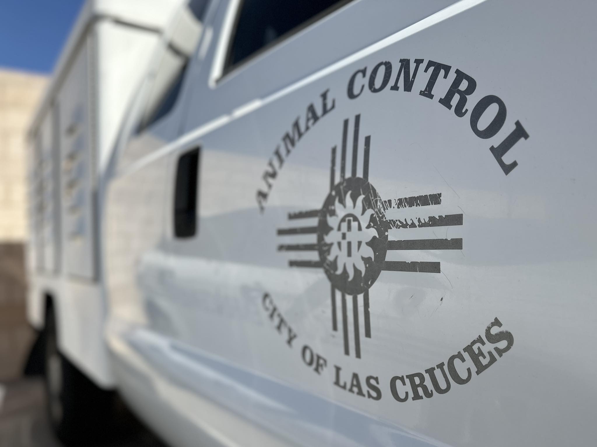 “Extreme Cruelty”: Las Cruces Man Sentenced to 18 Months for Felony Animal Abuse