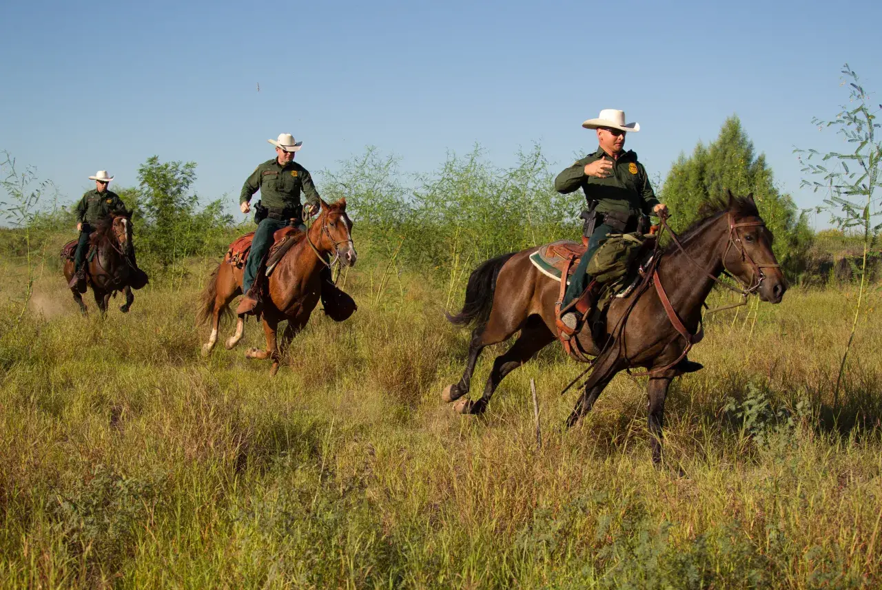 U.S. Border Patrol receives 15 horses from U.S. Army, saving $105,000; First 10 delivered to Santa Teresa